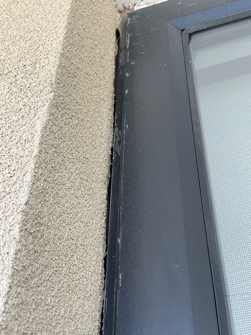 Cladding separated, letting moisture behind it to the structure, found during a pre-purchase inspection in Truganina